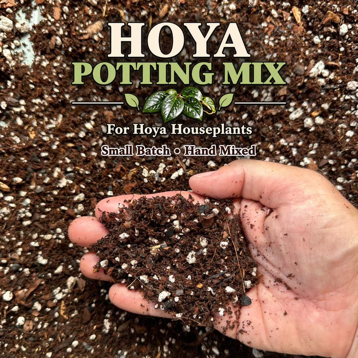 Hoya Soil Mix – Airy, Well-Draining Potting Mix for Indoor Plants
