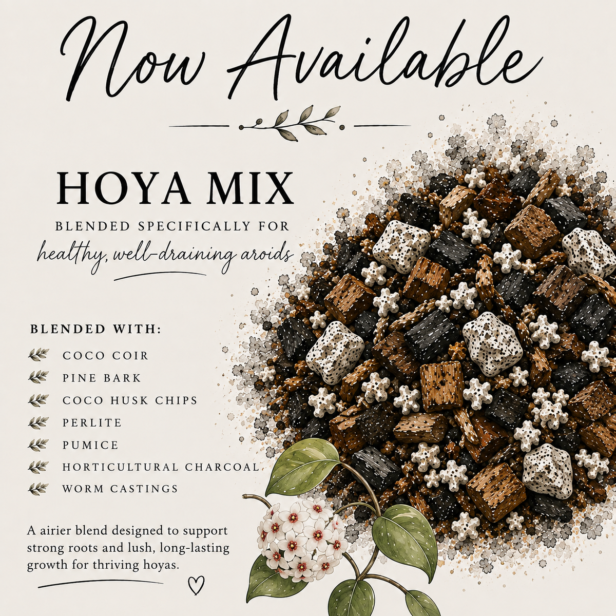 Hoya soil mix with pine bark, coco husk, perlite, pumice, charcoal and worm castings
