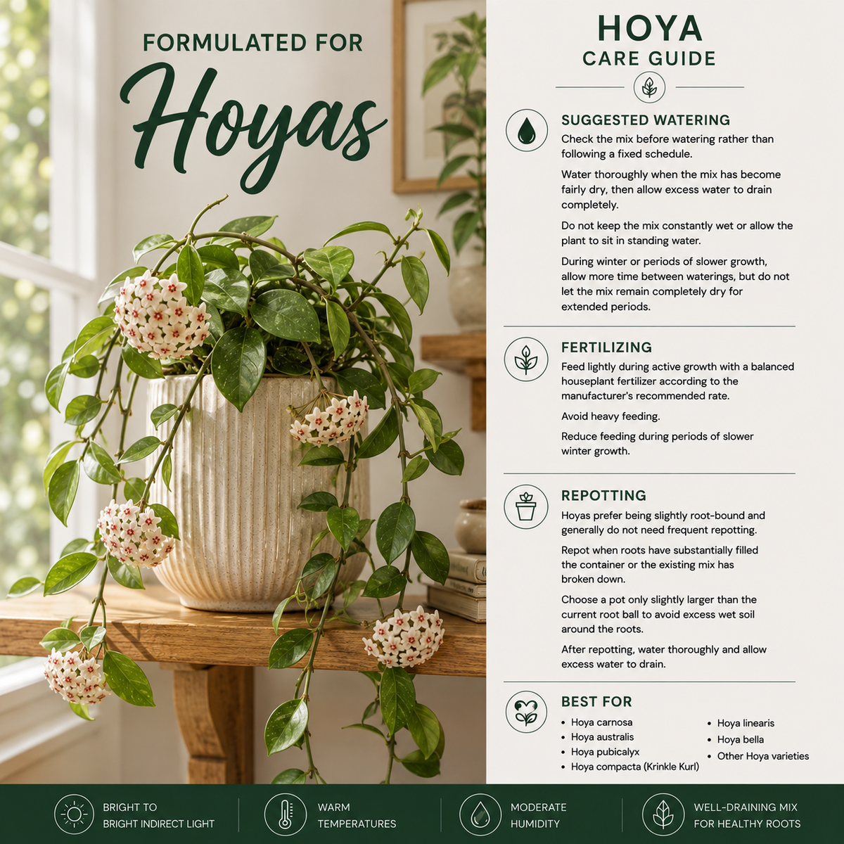 Hoya Soil Mix – Airy, Well-Draining Potting Mix for Indoor Plants