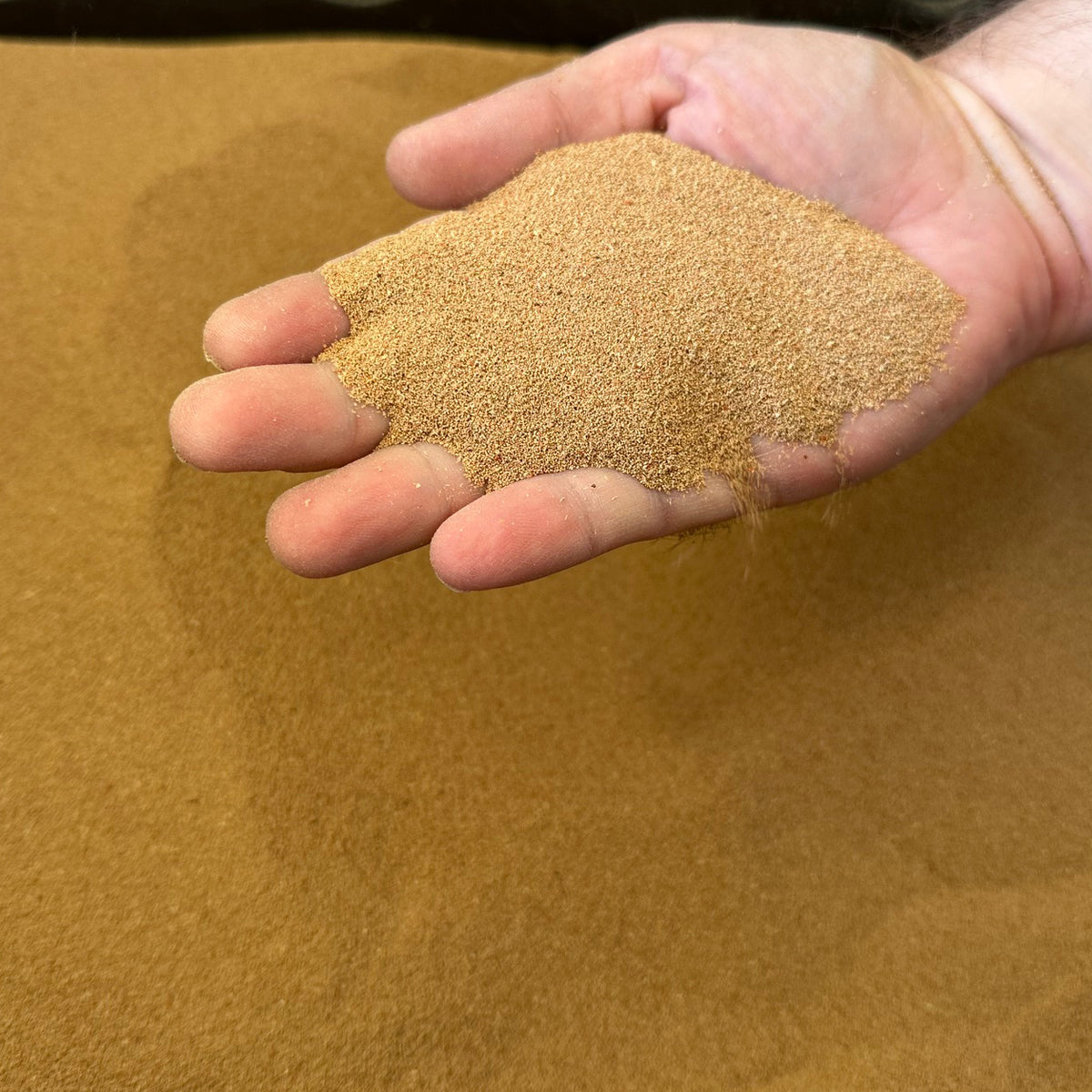 Premium Mealworm Frass | Natural Soil Amendment