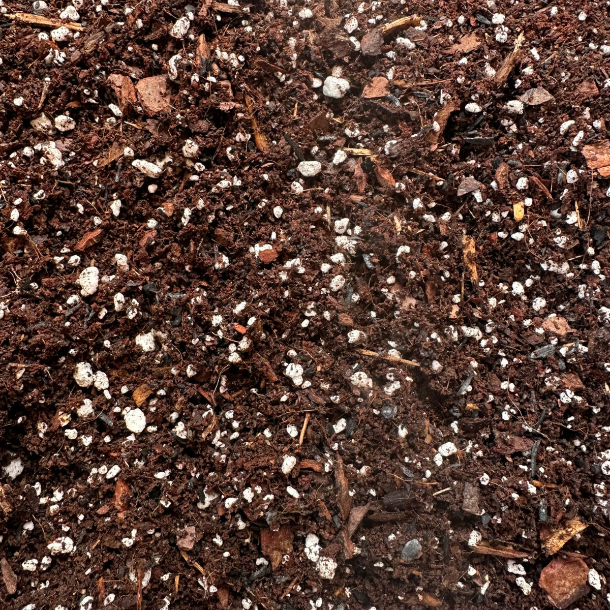 Pothos Soil Mix – Chunky Aroid Potting Mix for Indoor Plants