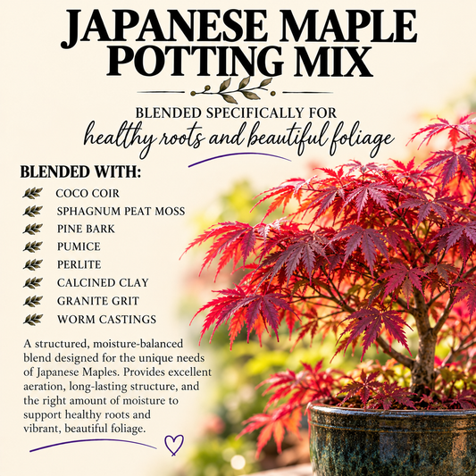 Japanese Maple Potting Mix – Moisture-Balanced Container Soil