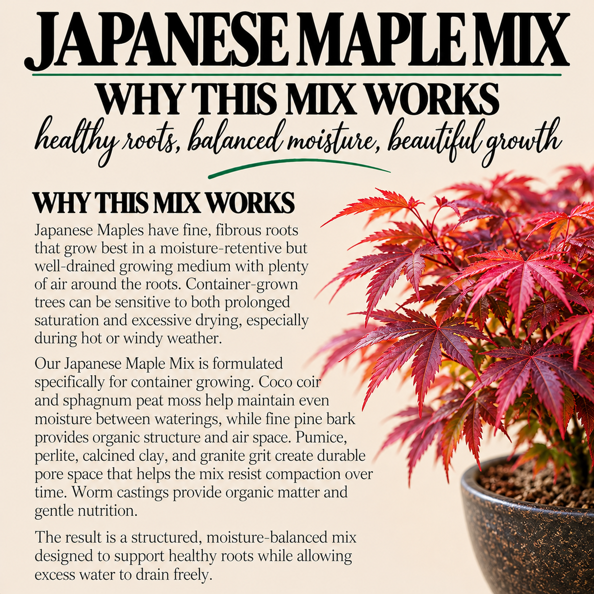 Japanese Maple Potting Mix – Moisture-Balanced Container Soil