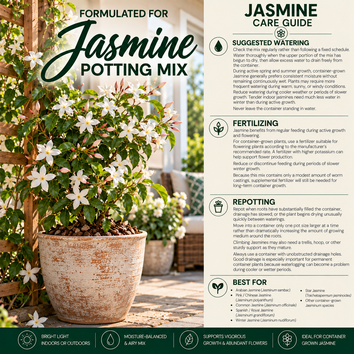 Jasmine Potting Mix – Moisture-Balanced Soil for Beautiful Blooms