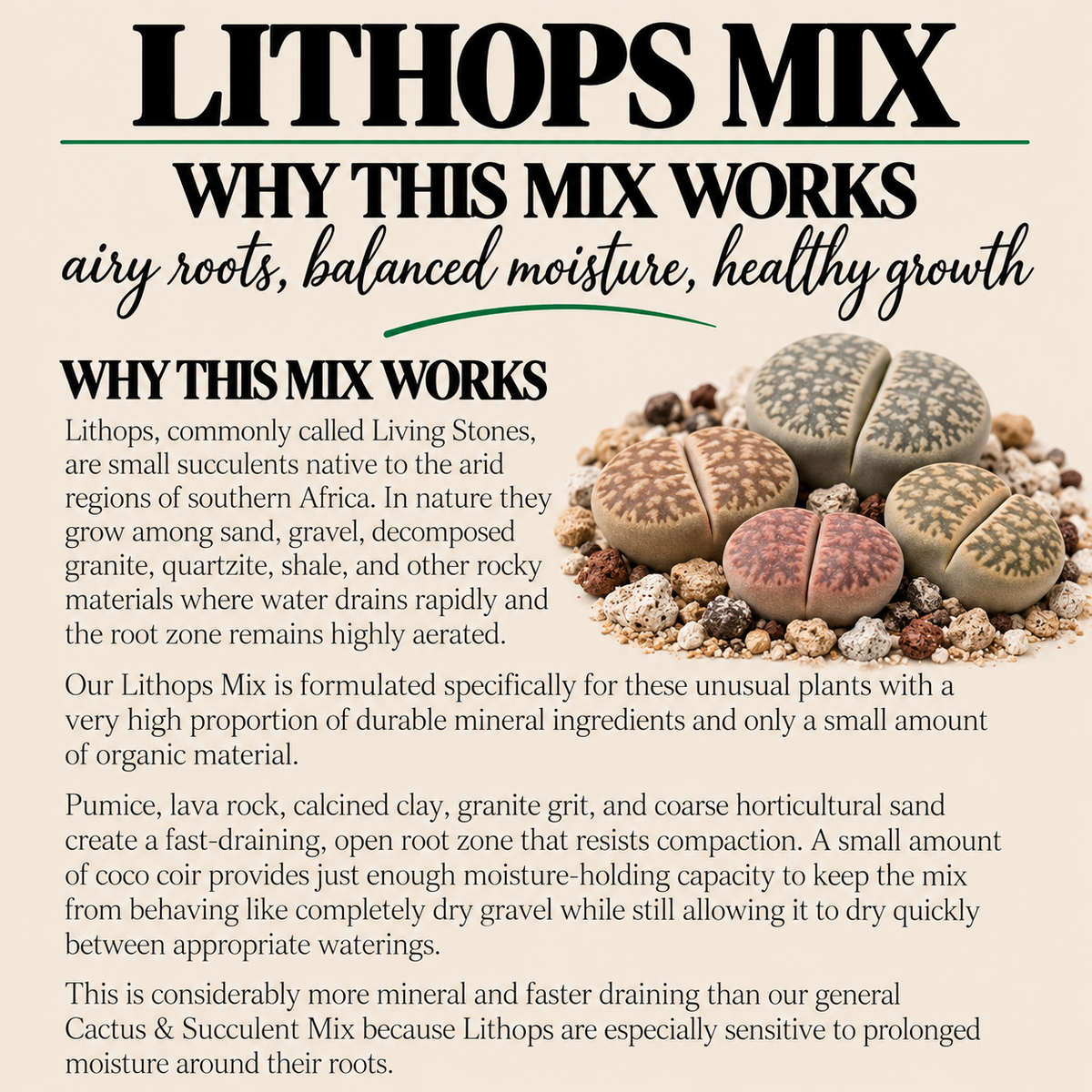 Lithops Potting Mix – Extra Gritty Mineral-Rich Soil