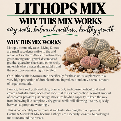 Lithops Potting Mix – Extra Gritty Mineral-Rich Soil