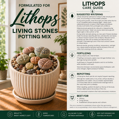 Lithops Potting Mix – Extra Gritty Mineral-Rich Soil