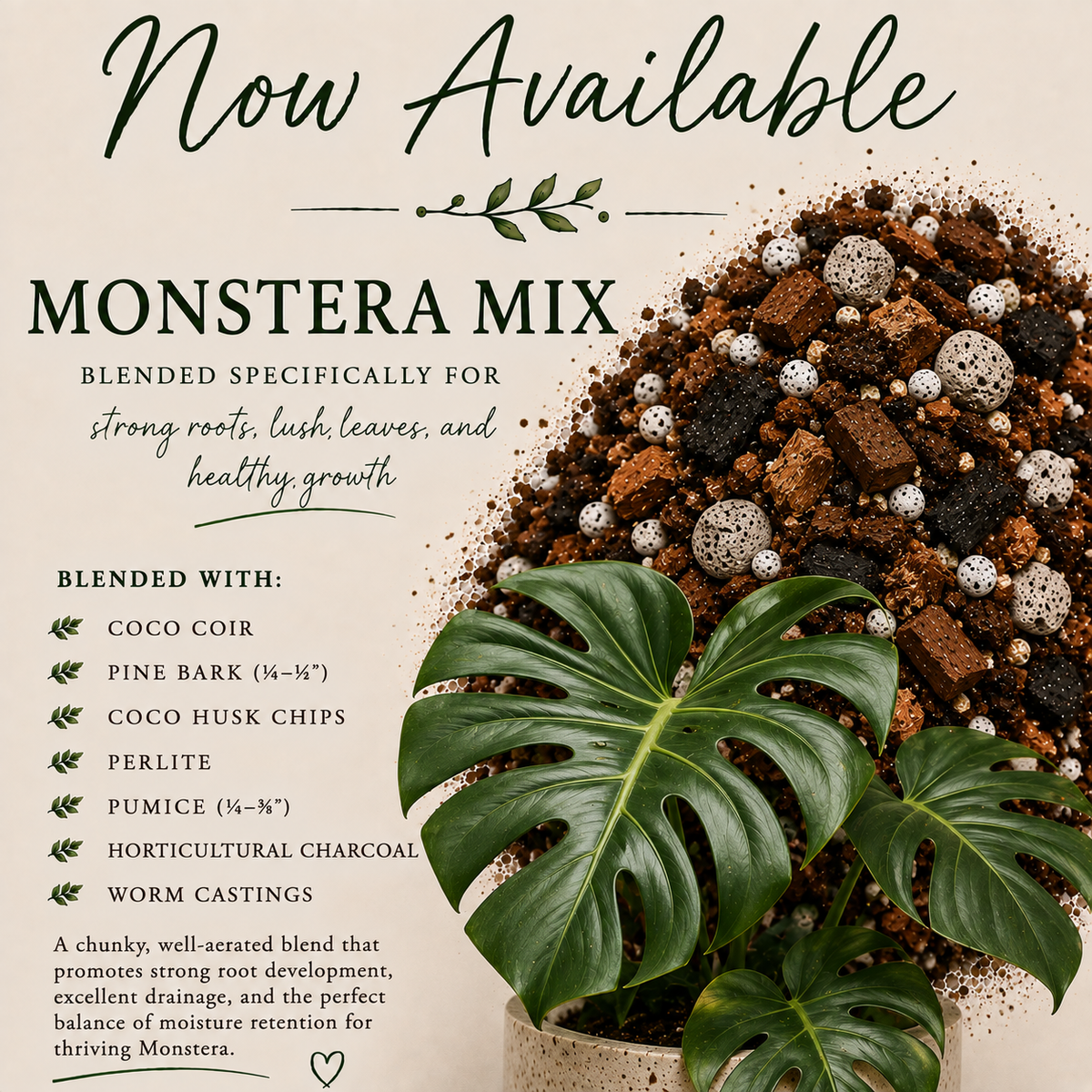 Monstera soil mix with pine bark, coco husk, perlite, pumice, charcoal and worm castings