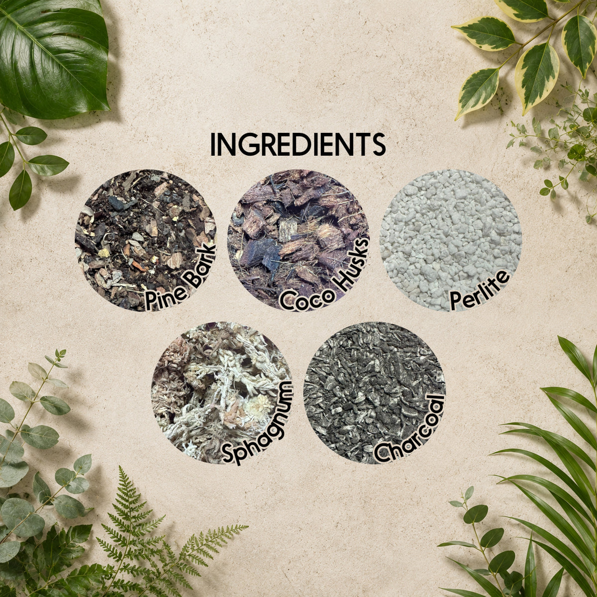 Orchid Bark Mix – Bark-Based Potting Mix for Epiphytic Orchids