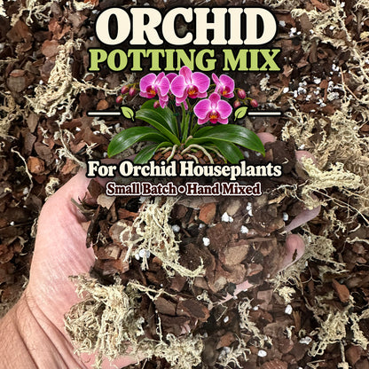 Orchid Bark Mix – Bark-Based Potting Mix for Epiphytic Orchids