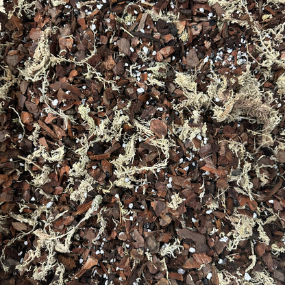 Orchid Bark Mix – Bark-Based Potting Mix for Epiphytic Orchids