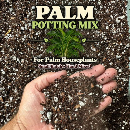 Palm Soil Mix – Balanced Potting Mix for Indoor Palms