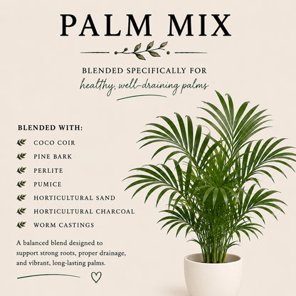 Palm Soil Mix – Balanced Potting Mix for Indoor Palms