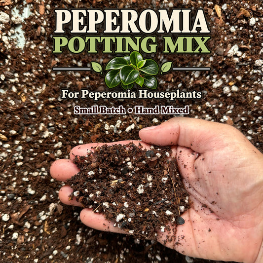 Peperomia Soil Mix – Loose, Well-Draining Potting Mix for Indoor Plants