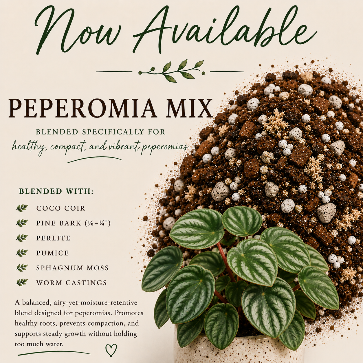 Peperomia soil mix with coco coir, pine bark, perlite, pumice, sphagnum moss and worm castings