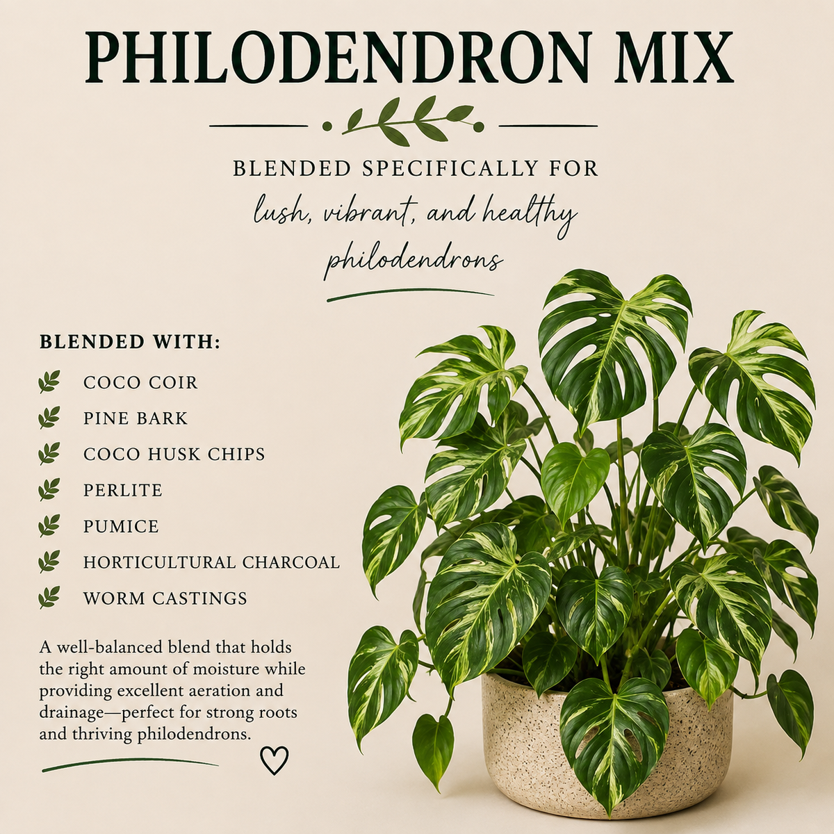 Philodendron Soil Mix – Chunky Aroid Potting Mix for Indoor Plants