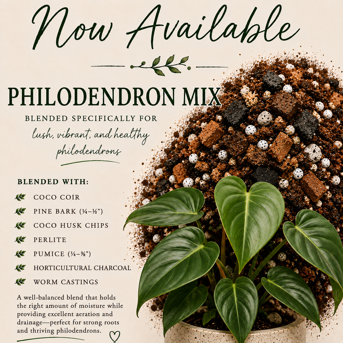 Philodendron soil mix with pine bark, coco husk, perlite, pumice, charcoal and worm castings