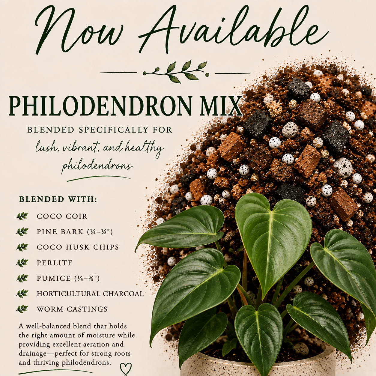 Philodendron soil mix with pine bark, coco husk, perlite, pumice, charcoal and worm castings