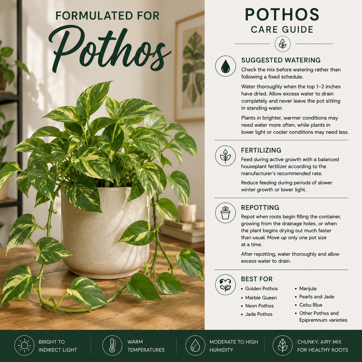 Pothos Soil Mix – Chunky Aroid Potting Mix for Indoor Plants