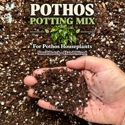 Pothos Soil Mix – Chunky Aroid Potting Mix for Indoor Plants