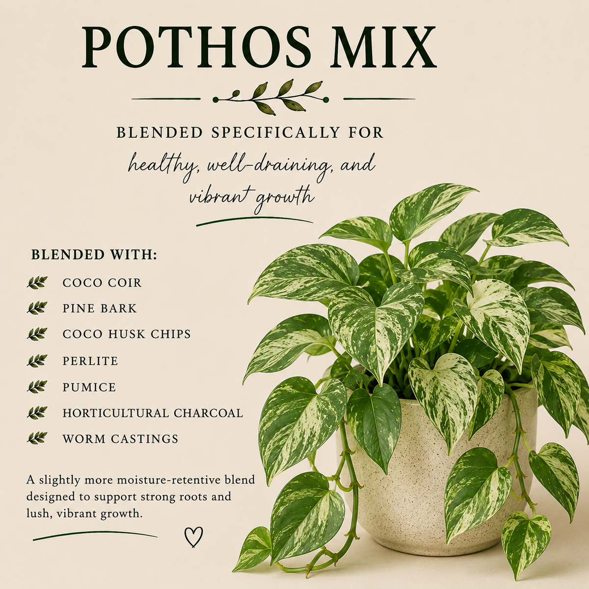 Pothos Soil Mix – Chunky Aroid Potting Mix for Indoor Plants