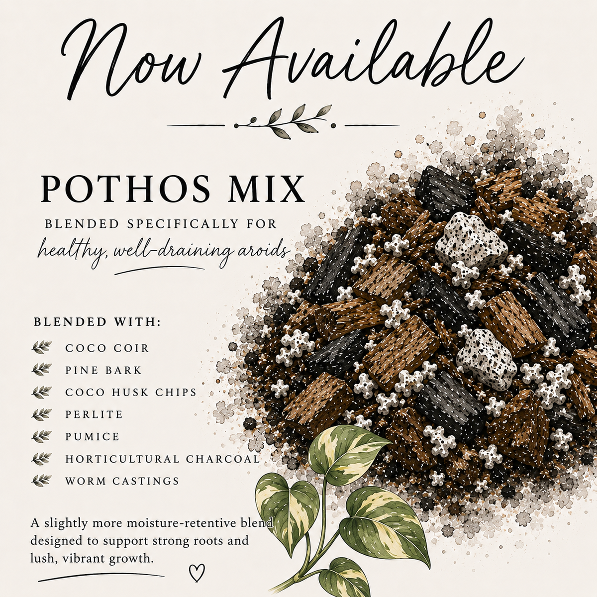 Pothos soil mix with pine bark, coco husk, perlite, pumice, charcoal and worm castings