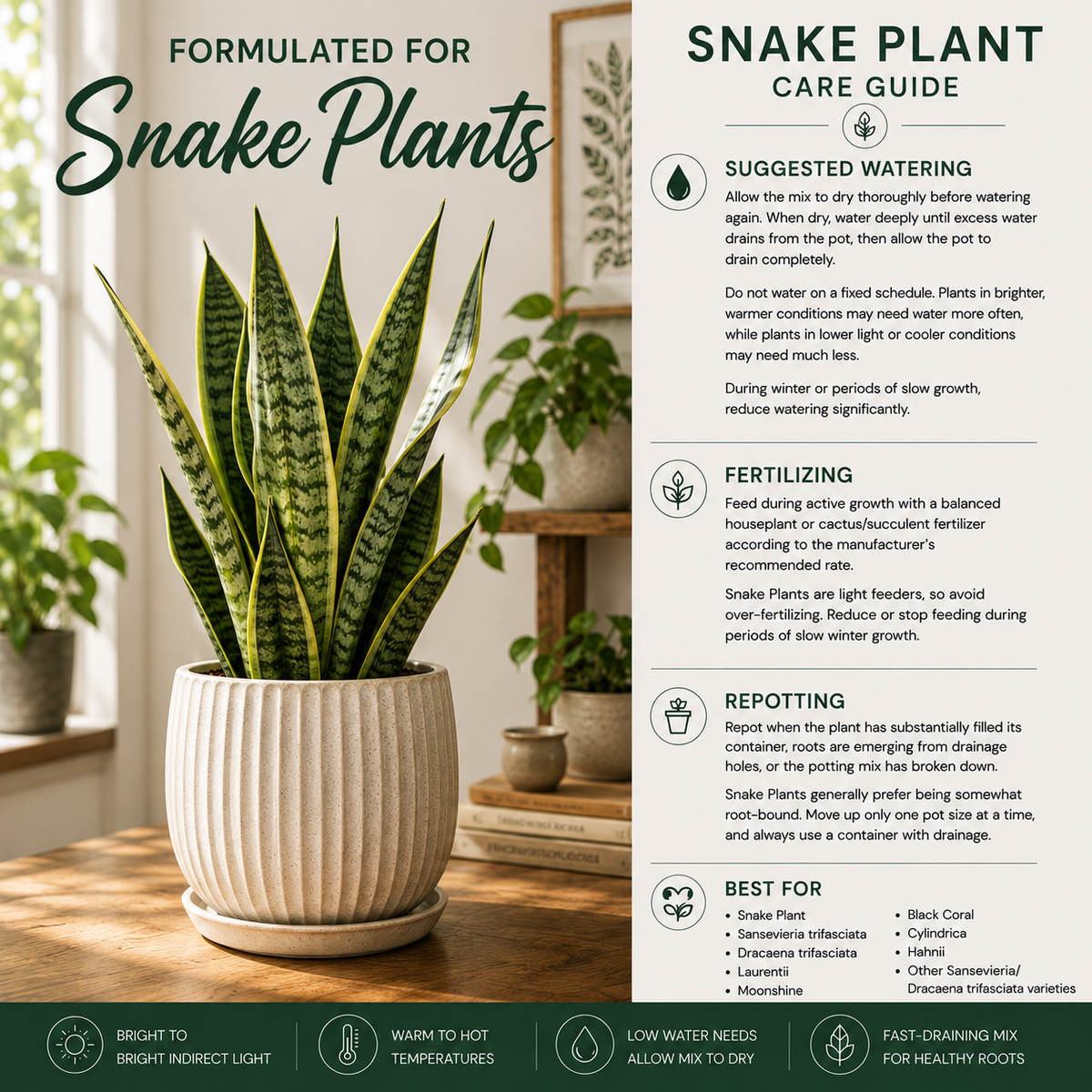 Snake Plant Soil Mix – Fast-Draining Potting Mix for Indoor Plants