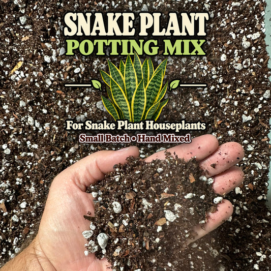 Snake Plant Soil Mix – Fast-Draining Potting Mix for Indoor Plants