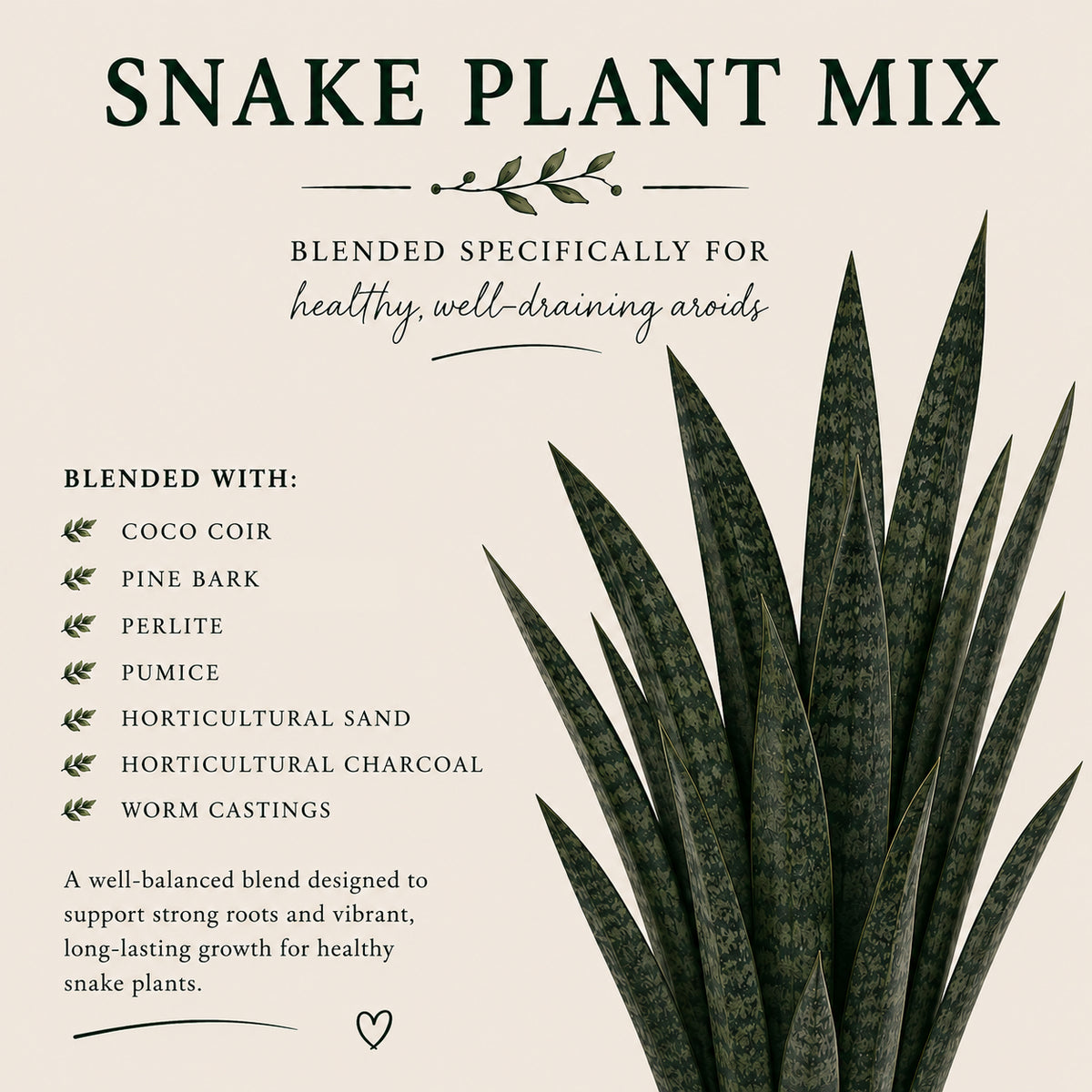 Snake Plant Soil Mix – Fast-Draining Potting Mix for Indoor Plants