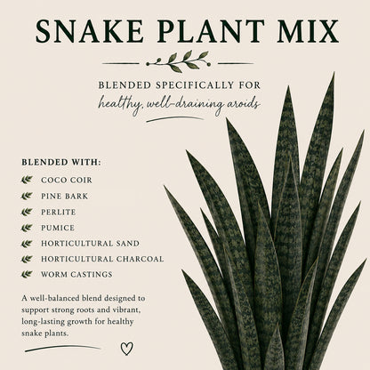 Snake Plant Soil Mix – Fast-Draining Potting Mix for Indoor Plants