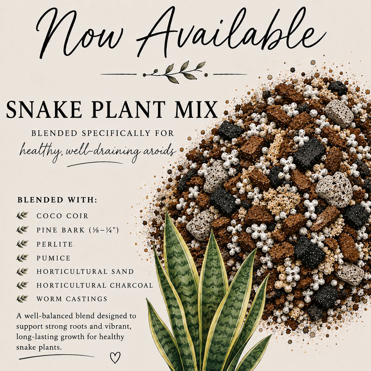 Snake Plant soil mix with pine bark, perlite, pumice, horticultural sand, charcoal and worm castings