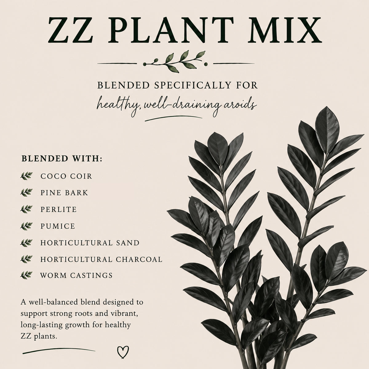 ZZ Plant Soil Mix – Well-Draining Potting Mix for Indoor Plants