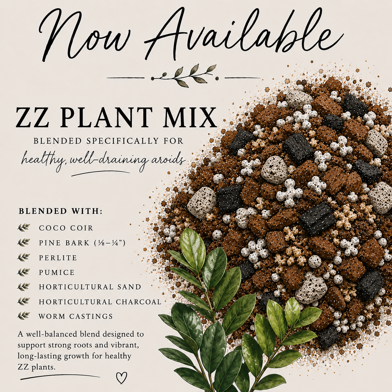 ZZ Plant soil mix with pine bark, perlite, pumice, horticultural sand, charcoal and worm castings