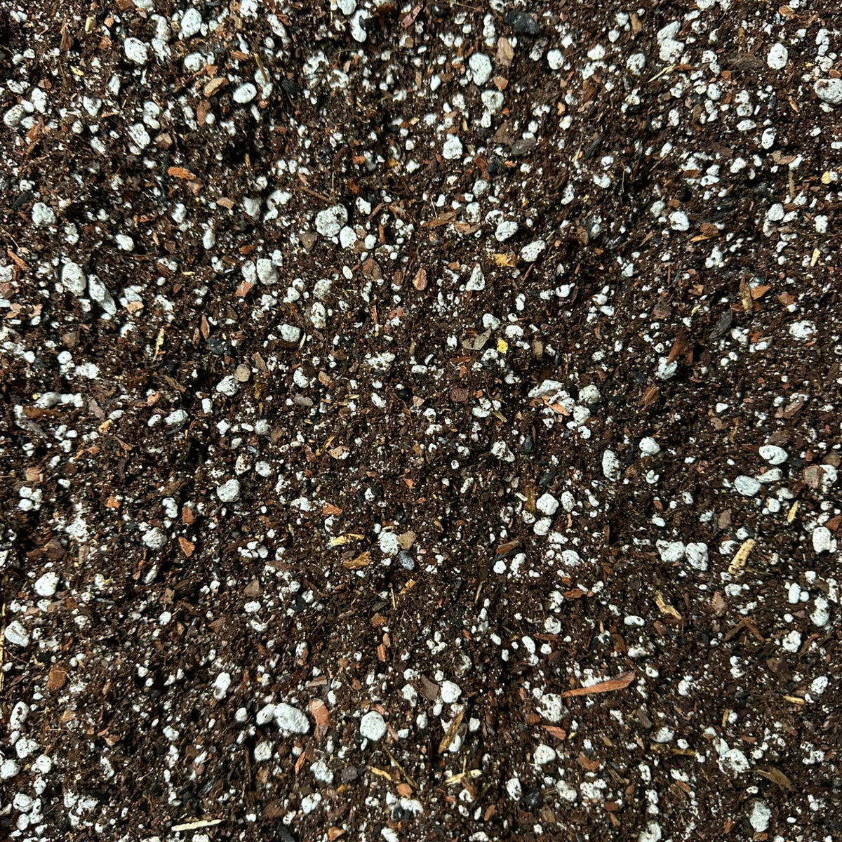 Citrus Soil Mix – Well-Draining Potting Mix for Container Citrus