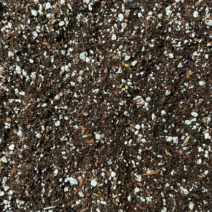 Citrus Soil Mix – Well-Draining Potting Mix for Container Citrus