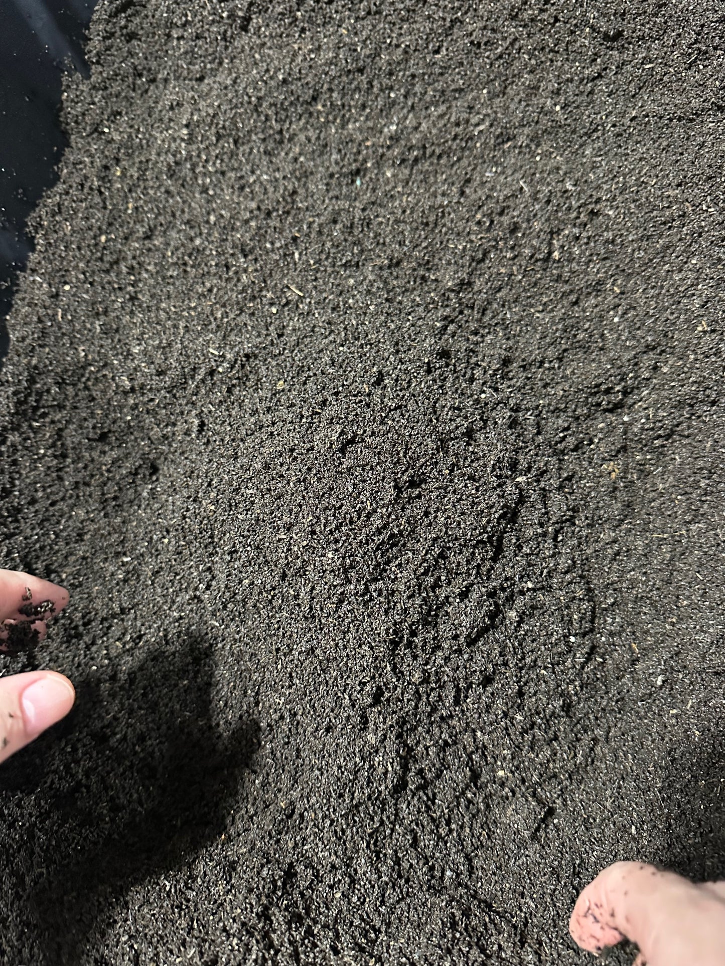Worm Castings
