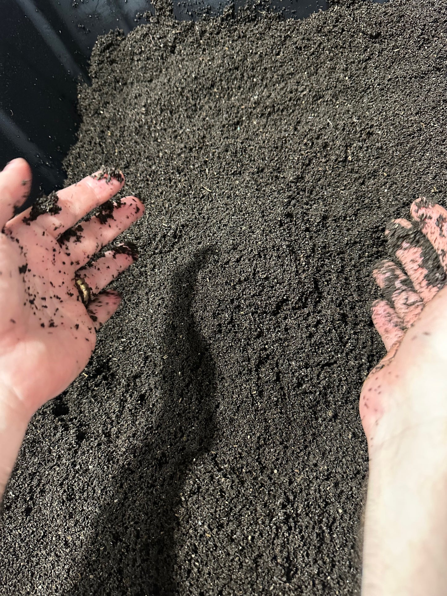 Worm Castings