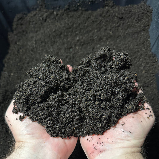 Worm Castings | Natural Soil Amendment